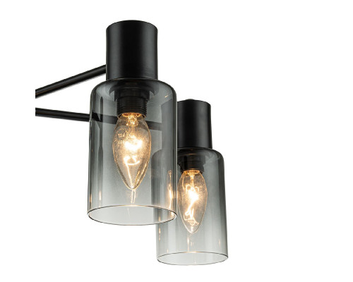 Дополнительное фото Люстра потолочная Escada Diversity 2120/5P Black: Купить в Интернет магазин освещения GCSVET.RU