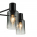 Дополнительное фото Люстра потолочная Escada Diversity 2120/5P Black: Купить в Интернет магазин освещения GCSVET.RU