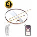 Основное фото Люстра потолочная Natali Kovaltseva HIGH-TECH LED LAMPS 82010: Купить в Интернет магазин освещения GCSVET.RU