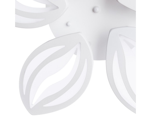 Дополнительное фото Люстра потолочная LED Arte Lamp Daisy A1098PL-5WH: Купить в Интернет магазин освещения GCSVET.RU