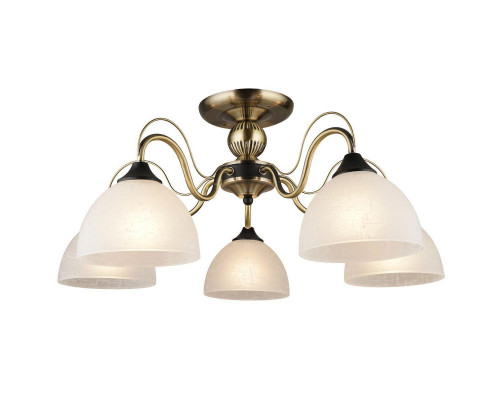 Основное фото Люстра потолочная Hiper Freya H219-5: Купить в Интернет магазин освещения GCSVET.RU