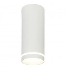 Светильник потолочный Escada 20009 20009SMU/02LED SWH