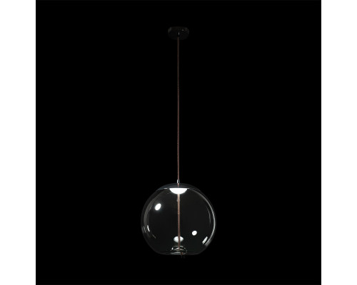 Дополнительное фото Светильник подвесной Loft IT 8134-B: Купить в Интернет магазин освещения GCSVET.RU