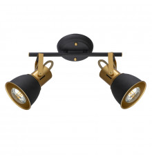 Светильник спот Arte Lamp Jovi A1677PL-2GO