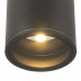 Дополнительное фото Светильник потолочный для улицы Maytoni Bar O306CL-L7GF: Купить в Интернет магазин освещения GCSVET.RU