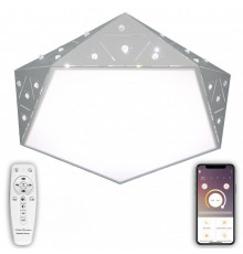Светильник потолочный Natali Kovaltseva LED LAMPS 81206