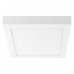 Основное фото Светильник потолочный LED Lightstar Zocco 324124: Купить в Интернет магазин освещения GCSVET.RU