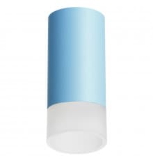 Светильник накладной Lightstar Rullo R43531 (214435+202431)
