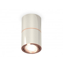 Светильник потолочный Ambrella Light Techno Spot XS7405080 (C7405, A2072, C7405, N7195)