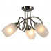 Дополнительное фото Люстра потолочная Arte Lamp Mutti A8616PL-3AB: Купить в Интернет магазин освещения GCSVET.RU