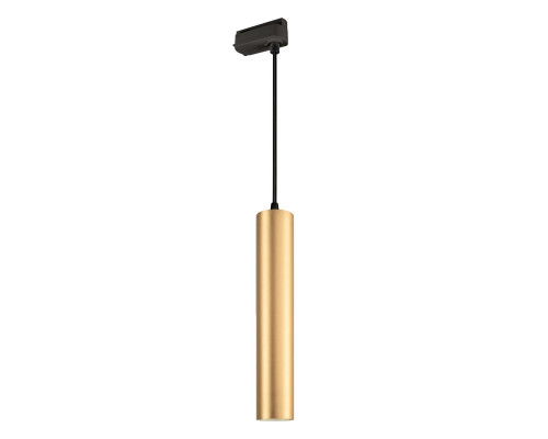 Основное фото Светильник трековый Arlight LGD-Pipe-Track-Hang-2TR-R50-9W Warm3000 037433: Купить в Интернет магазин освещения GCSVET.RU