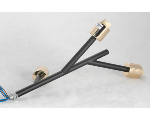 Дополнительное фото Люстра потолочная Lussole Loft Astoria LSP-8332: Купить в Интернет магазин освещения GCSVET.RU