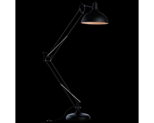 Дополнительное фото Напольный светильник Arte Lamp Goliath A2487PN-1BK: Купить в Интернет магазин освещения GCSVET.RU