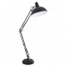 Основное фото Напольный светильник Arte Lamp Goliath A2487PN-1BK: Купить в Интернет магазин освещения GCSVET.RU