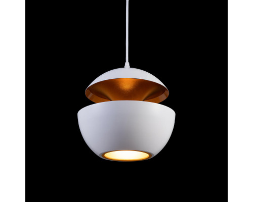 Дополнительное фото Светильник подвесной Loft IT LOFT2213-A: Купить в Интернет магазин освещения GCSVET.RU