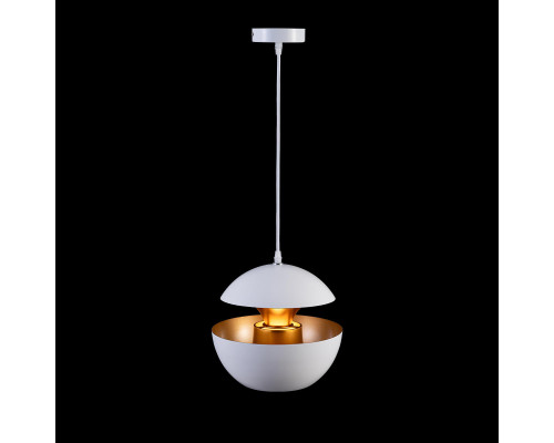 Дополнительное фото Светильник подвесной Loft IT LOFT2213-A: Купить в Интернет магазин освещения GCSVET.RU
