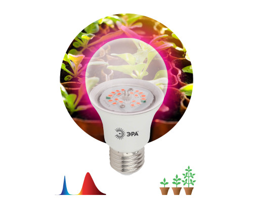 Дополнительное фото Светодиодная лампа для растений ЭРА E27 12W 1310K FITO-12W-RB-E27-K Б0039070: Купить в Интернет магазин освещения GCSVET.RU