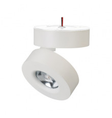 Светильник спот Arlight SP-Mona-Surface-R100-12W Day4000 025439(1)