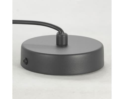 Дополнительное фото Светильник подвесной Lussole Loft LSP-8487: Купить в Интернет магазин освещения GCSVET.RU
