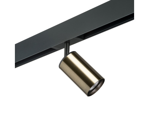 Основное фото Светильник трековый Lightstar Rullo PRO431 (214431+595057): Купить в Интернет магазин освещения GCSVET.RU