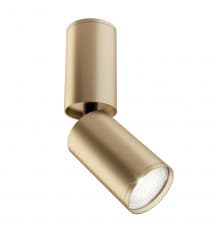 Светильник спот Maytoni FOCUS S C051CL-01G