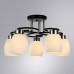 Дополнительное фото Люстра потолочная Arte Lamp Krit A4505PL-5BK: Купить в Интернет магазин освещения GCSVET.RU