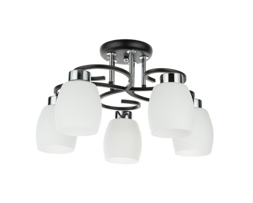 Основное фото Люстра потолочная Arte Lamp Krit A4505PL-5BK: Купить в Интернет магазин освещения GCSVET.RU