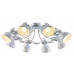 Основное фото Люстра потолочная Arte Lamp Martin A5216PL-8WG: Купить в Интернет магазин освещения GCSVET.RU