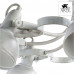 Дополнительное фото Люстра потолочная Arte Lamp Martin A5216PL-8WG: Купить в Интернет магазин освещения GCSVET.RU