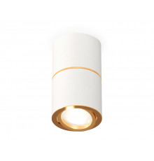 Светильник потолочный Ambrella Light Techno Spot XS7401200 (C7401, A2072, C7401, N7004)
