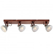 Светильник спот Lussole Loft Diana LSP-9829