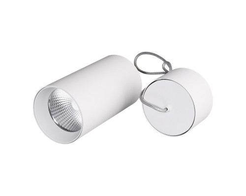 Основное фото Светильник подвесной Arlight SP-Polo-R85-2-15W Day White 40deg 022948: Купить в Интернет магазин освещения GCSVET.RU