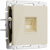 Основное фото Розетка Ethernet RJ-45 Werkel 4690389197116 W1181043 a064064: Купить в Интернет магазин освещения GCSVET.RU