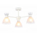 Основное фото Люстра потолочная Ambrella Light Modern Homy TR3177: Купить в Интернет магазин освещения GCSVET.RU