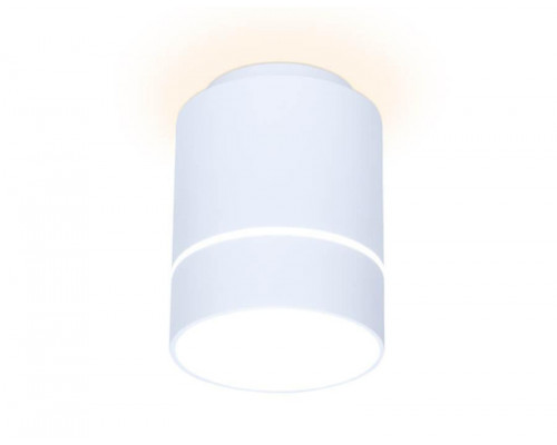 Основное фото Светильник потолочный LED Ambrella Light Techno Spot TN256: Купить в Интернет магазин освещения GCSVET.RU