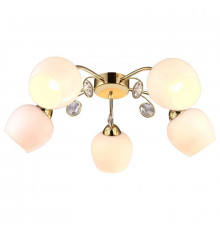 Люстра потолочная Arte Lamp Millo A9549PL-5GO