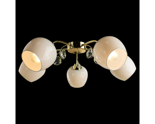 Дополнительное фото Люстра потолочная Arte Lamp Millo A9549PL-5GO: Купить в Интернет магазин освещения GCSVET.RU