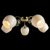 Дополнительное фото Люстра потолочная Arte Lamp Millo A9549PL-5GO: Купить в Интернет магазин освещения GCSVET.RU