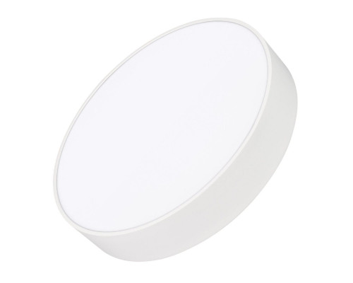Основное фото Светильник потолочный Arlight IM-RONDO-EMERGENCY-3H-R350-33W Day4000 (WH, 120 deg, 230V) 041066: Купить в Интернет магазин освещения GCSVET.RU