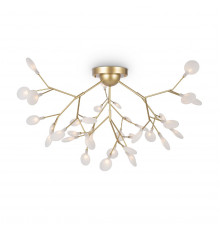 Люстра потолочная Freya Florencia FR5049CL-36G