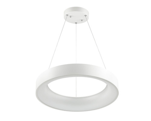 Основное фото Светильник подвесной LED Odeon Light Sole 4066/50L: Купить в Интернет магазин освещения GCSVET.RU