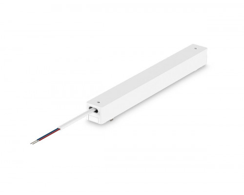Основное фото Блок питания внутренний Ambrella Light Magnetic Ultra Slim Track System 100Вт DC48В IP20 GV1233: Купить в Интернет магазин освещения GCSVET.RU