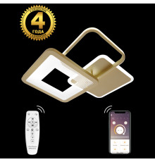 Люстра потолочная Natali Kovaltseva LED LAMPS 81308