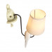 Дополнительное фото Настенный светильник LOFT IT Birds Loft1029W-1: Купить в Интернет магазин освещения GCSVET.RU