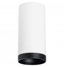 Светильник накладной Lightstar Rullo R64863487 (216486+203487)