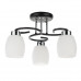 Основное фото Люстра потолочная Arte Lamp Krit A4505PL-3BK: Купить в Интернет магазин освещения GCSVET.RU