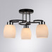Дополнительное фото Люстра потолочная Arte Lamp Krit A4505PL-3BK: Купить в Интернет магазин освещения GCSVET.RU
