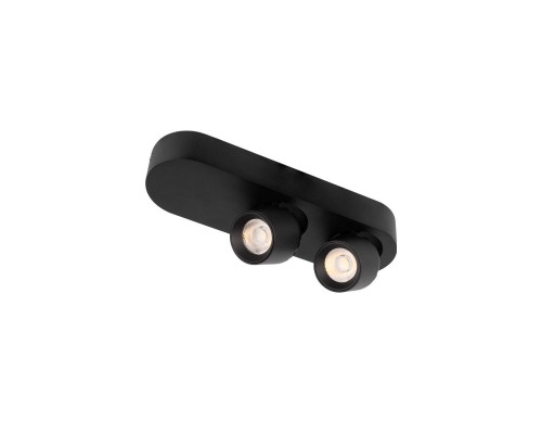 Основное фото Накладной Светильник спот Loft IT Quiet 10320/2 Black: Купить в Интернет магазин освещения GCSVET.RU