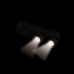 Дополнительное фото Накладной Светильник спот Loft IT Quiet 10320/2 Black: Купить в Интернет магазин освещения GCSVET.RU