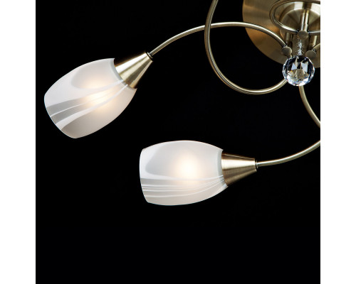 Дополнительное фото Люстра потолочная Eurosvet 2275/6 античная бронза: Купить в Интернет магазин освещения GCSVET.RU